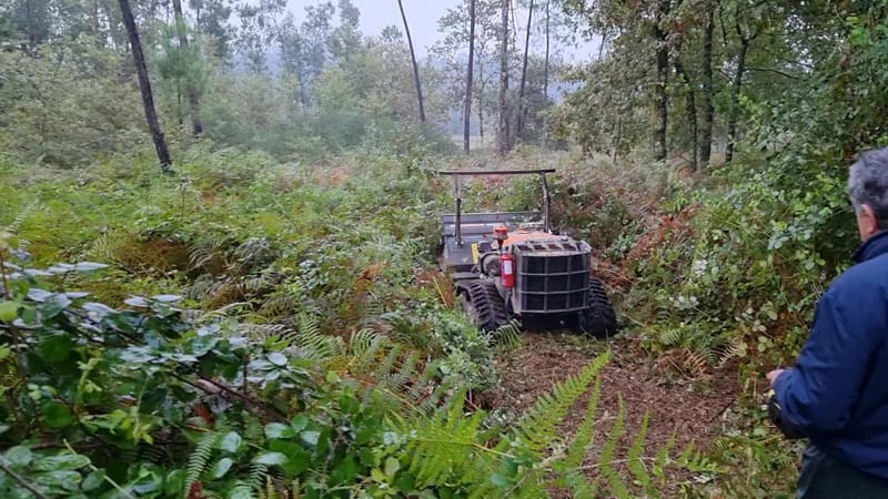 Limpeza de caminhos particulares e rede viária