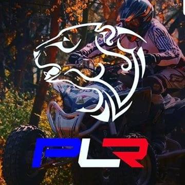 MOTORES