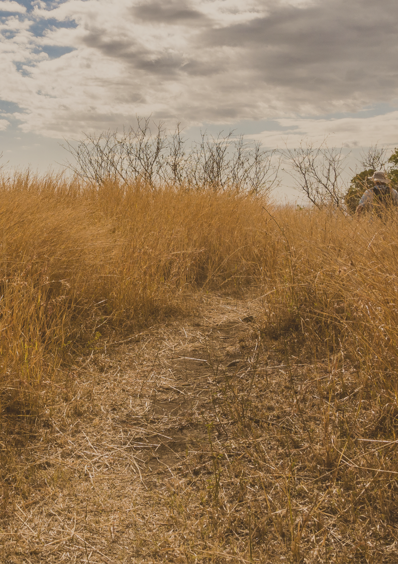 Relatório de Compromisso Socioambiental: Edição Outono 2023