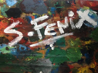 s.fenix
