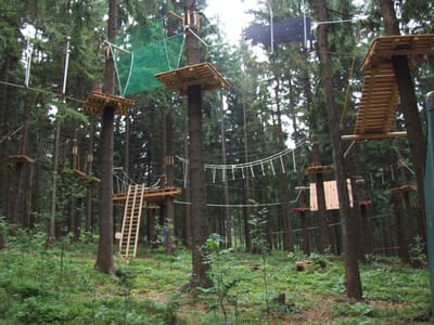 Bayerischer Wald image