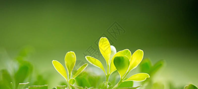 何謂穢氣？為什麼要清除？對我們健康有什麼影響？