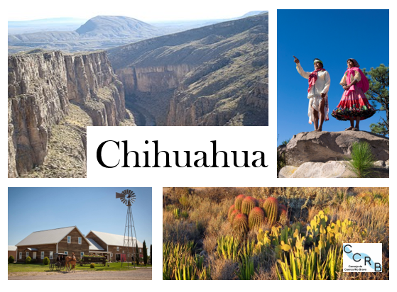 Renovación de Vocales del Estado de Chihuahua