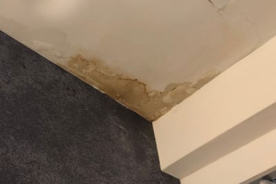 7 Key Things to Do If Your Roof Is Leaking