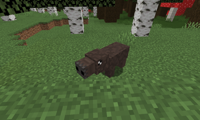 Capybara image