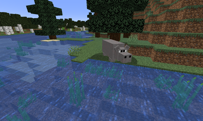 Hippopotamus image