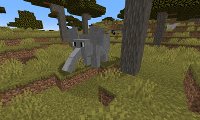 Elephant image