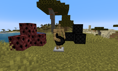 Onyx image