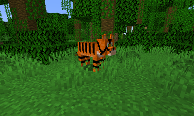 Tiger image