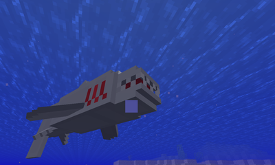 Shark image