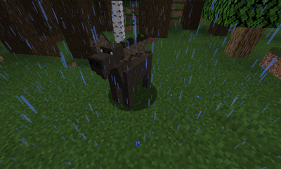 Moose image