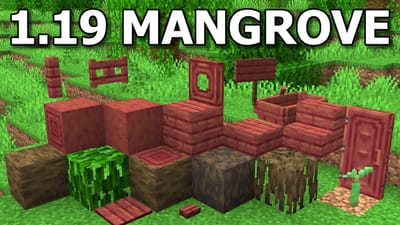 Mangrove set image