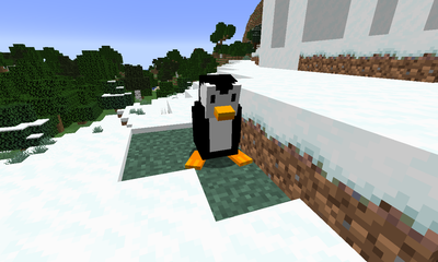 Penguin image