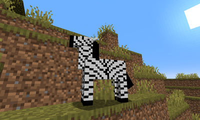 Zebra image