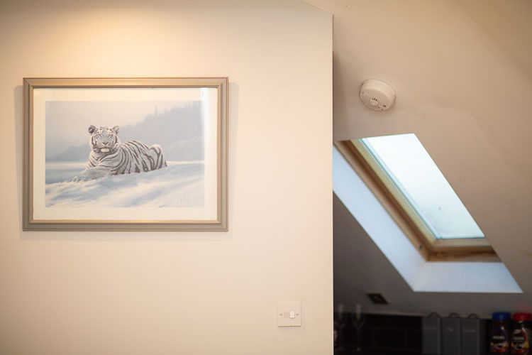 Commercial x4 Flat New Build 