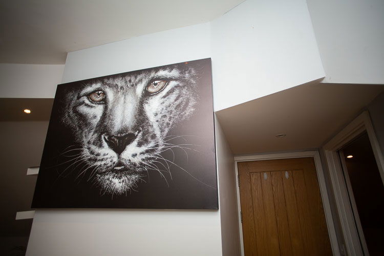 Commercial x4 Flat New Build 