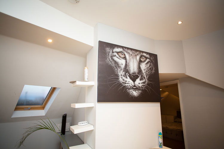 Commercial x4 Flat New Build 