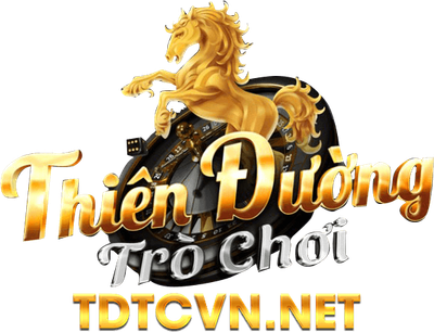 tdtcvnnet