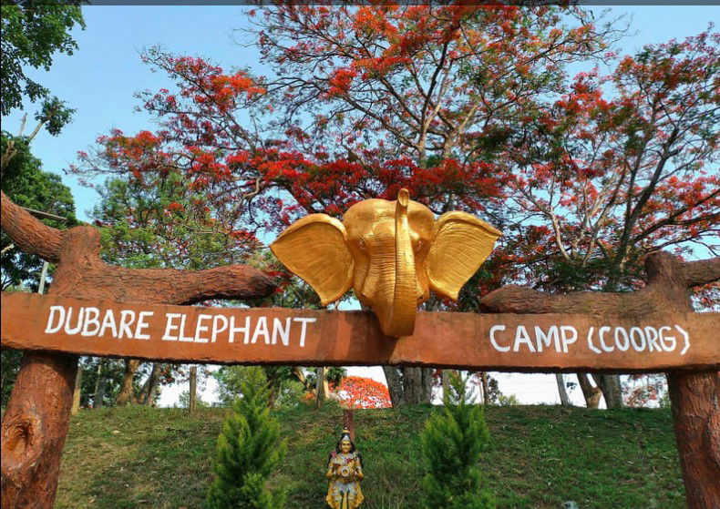 Dubare Elephant Camp