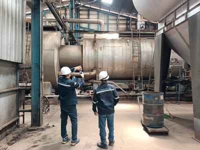 DESCALING DEVICE FOR BOILER SYSTEM