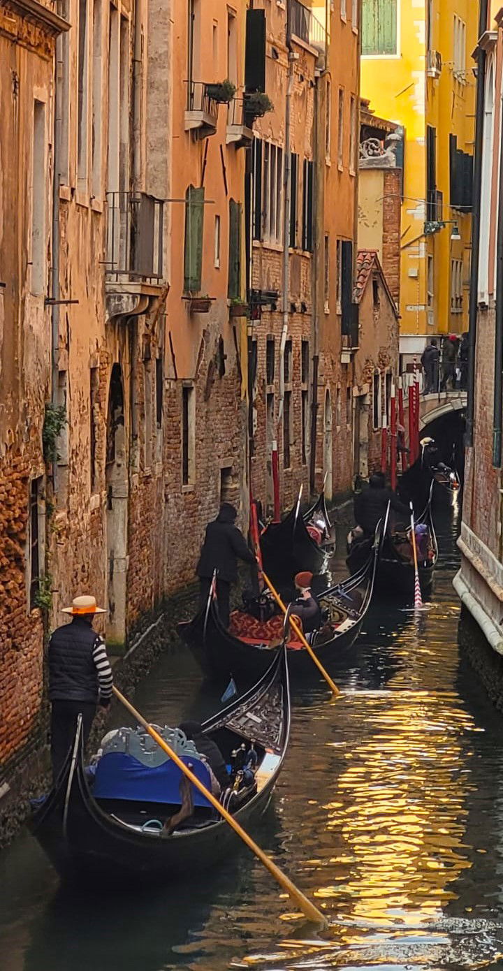 Venezia