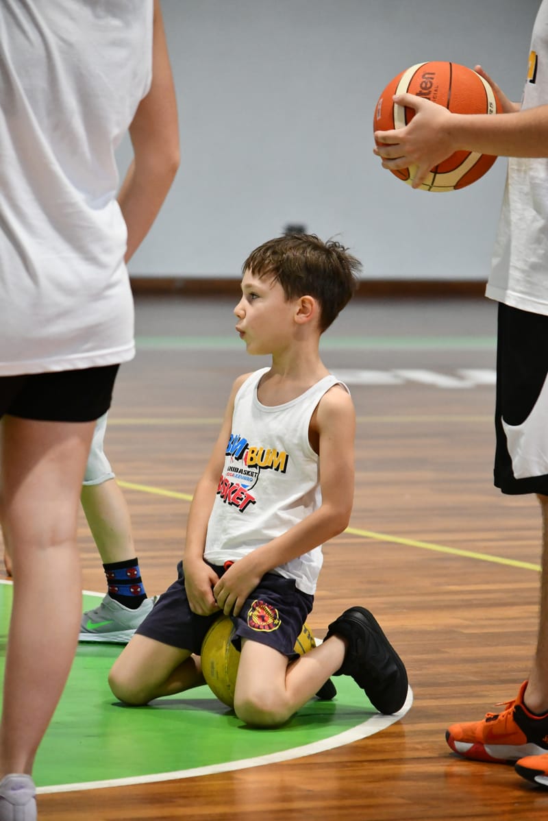 Camp Bim Bum Basket