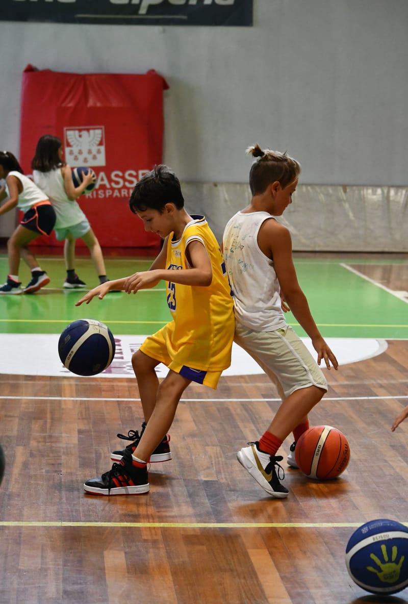 Camp Bim Bum Basket
