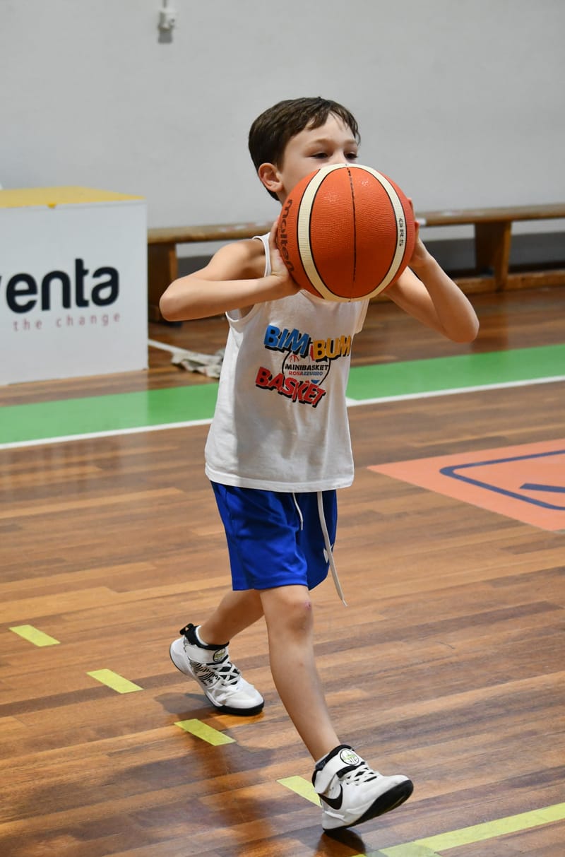 Camp Bim Bum Basket