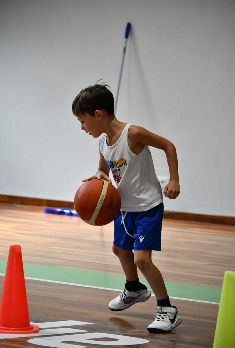 Camp Bim Bum Basket