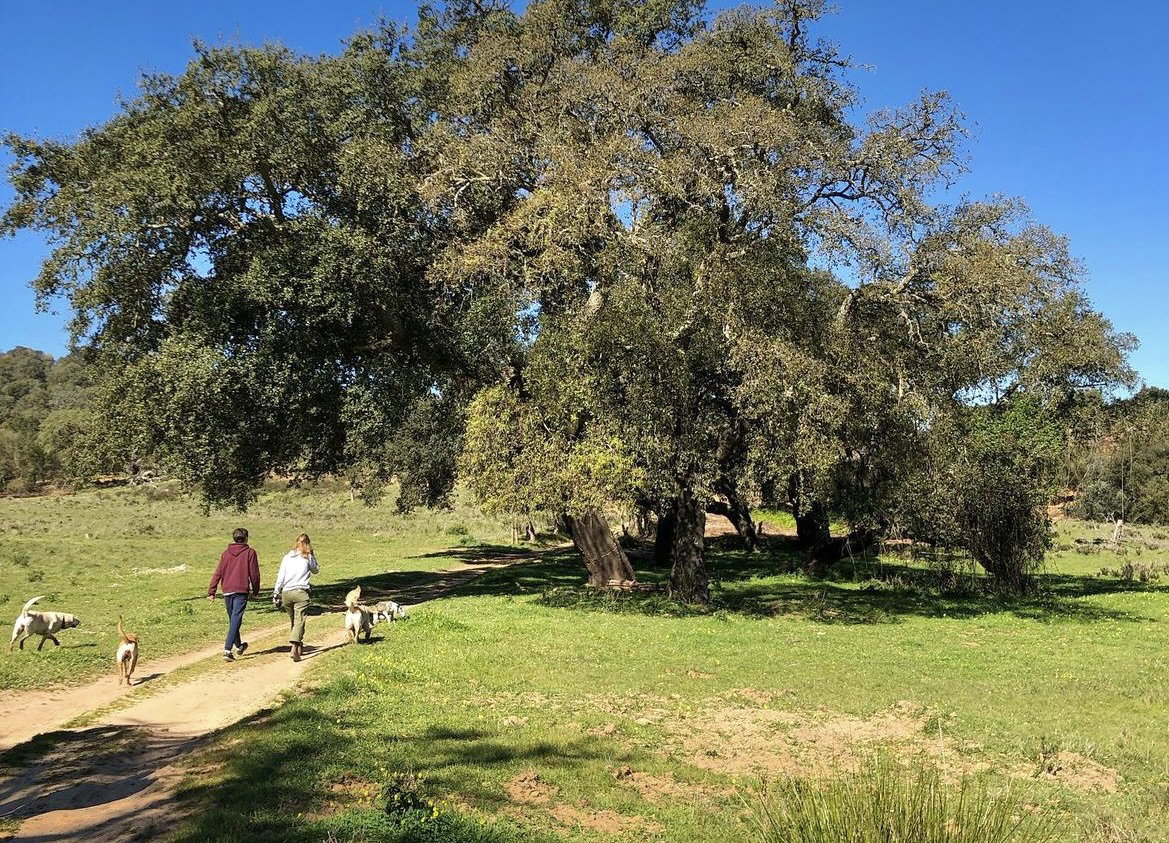 Private Hike Trail