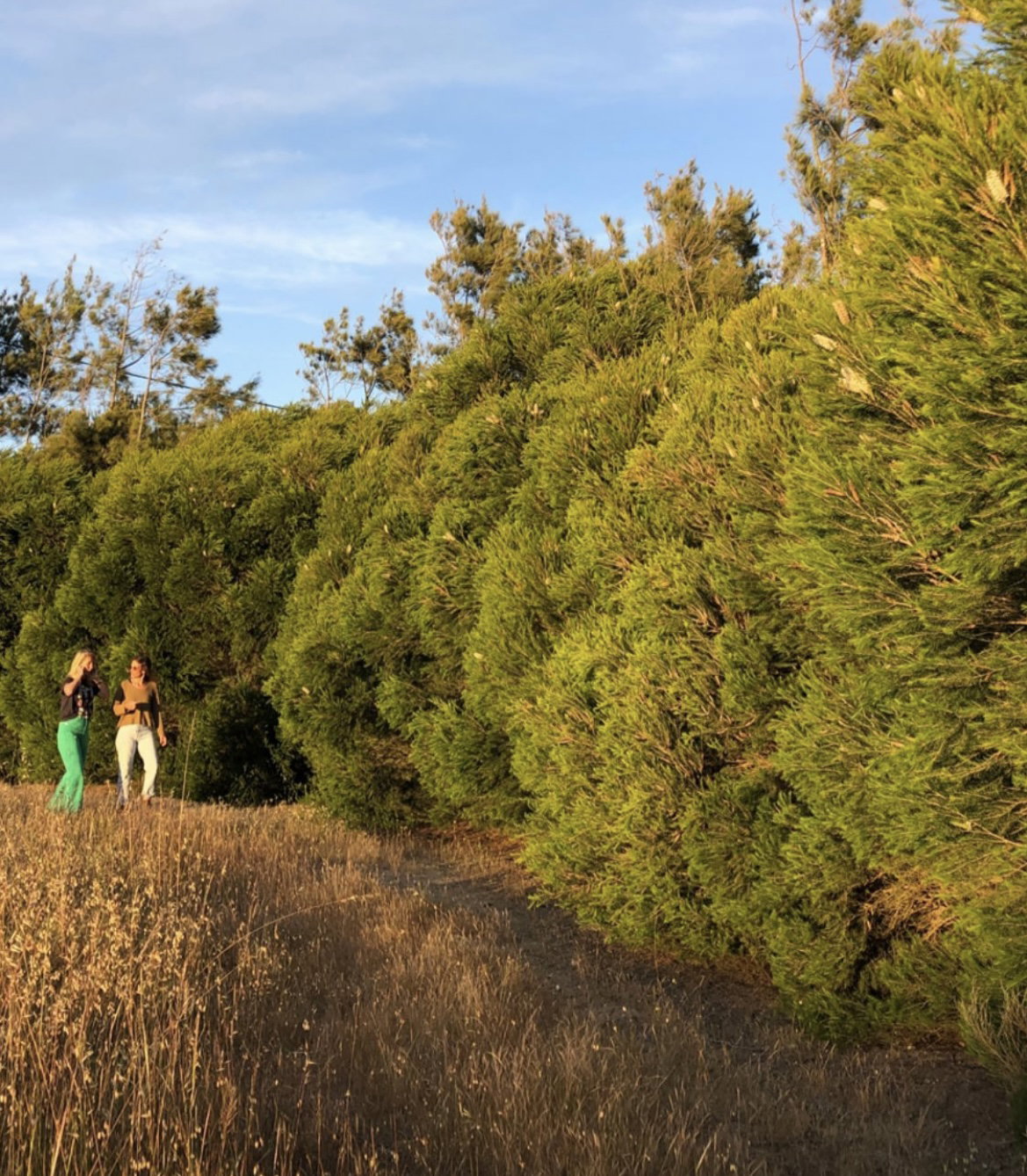 Private Hike Trail