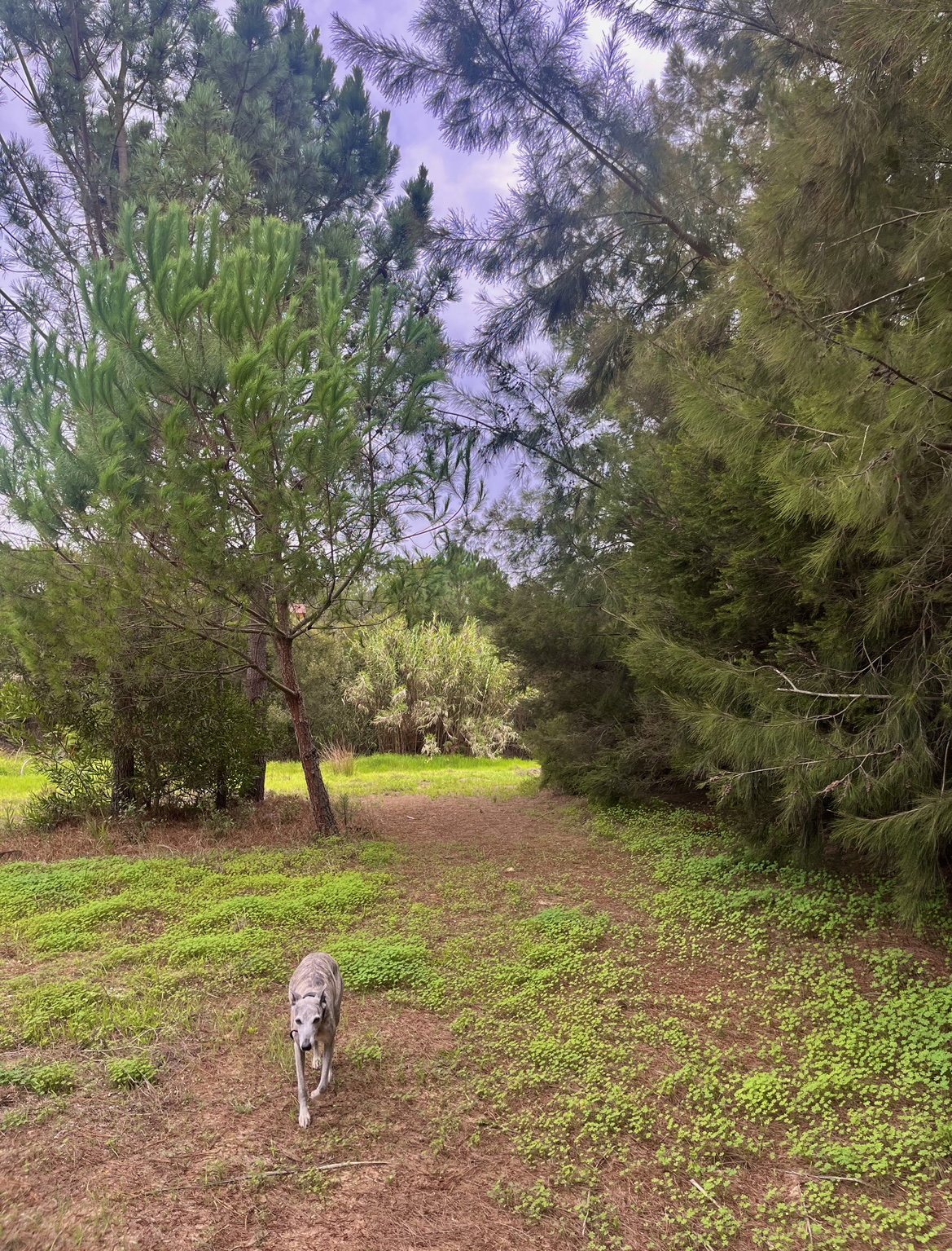 Private Hike Trail