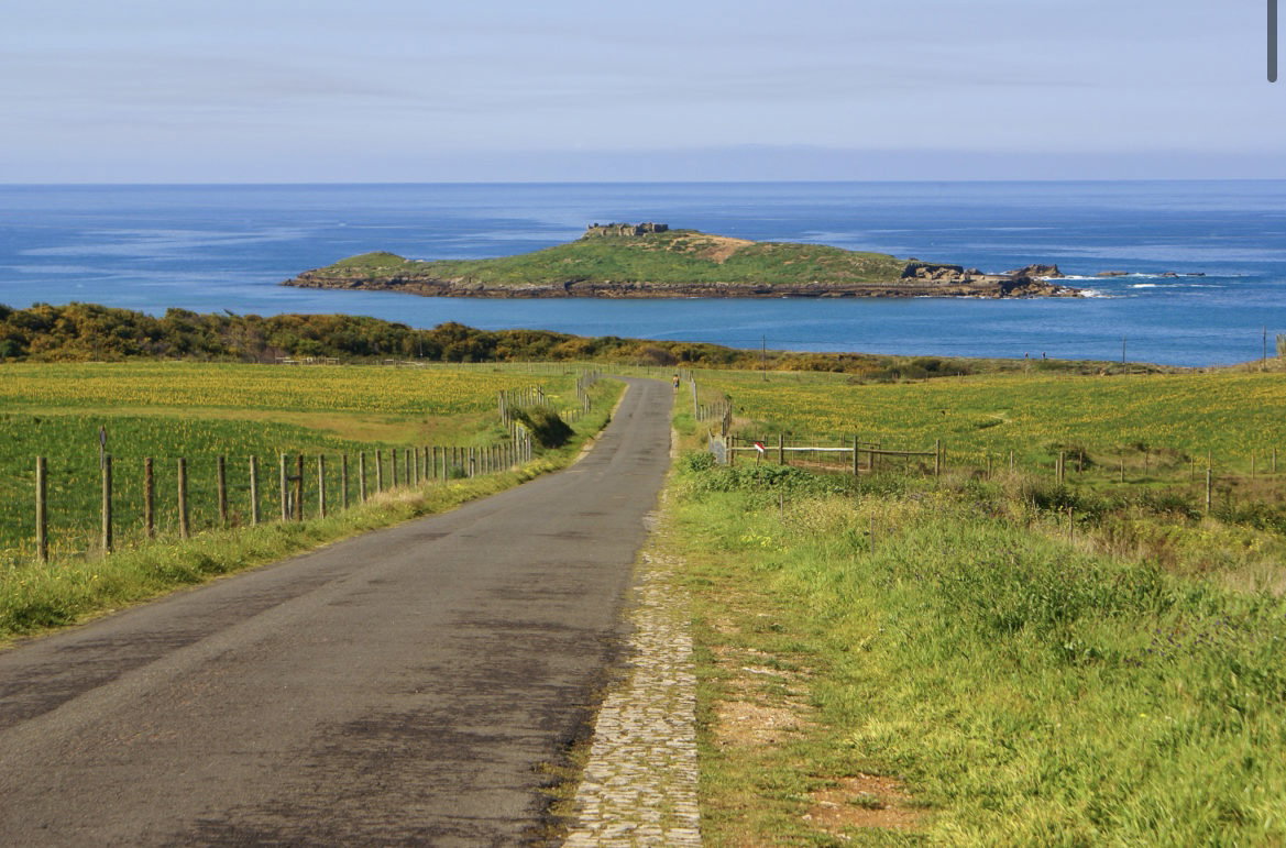 Other Trials in Porto Covo