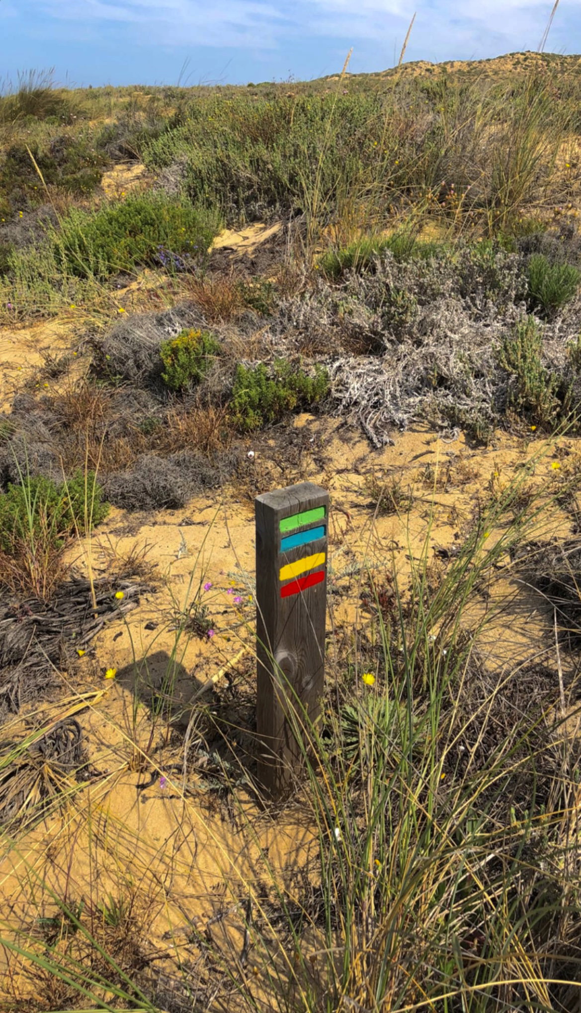Other Trials in Porto Covo