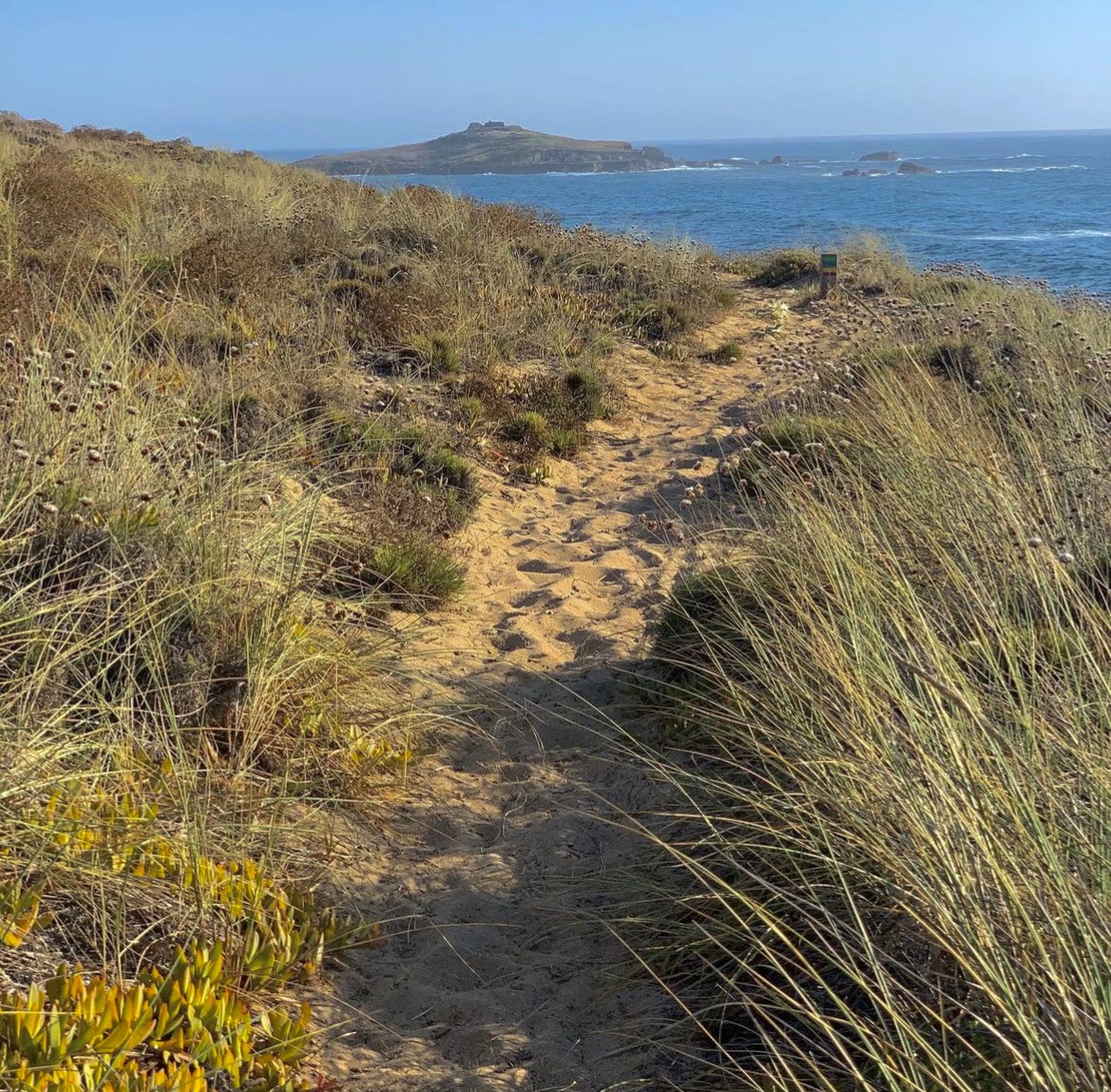 Other Trials in Porto Covo