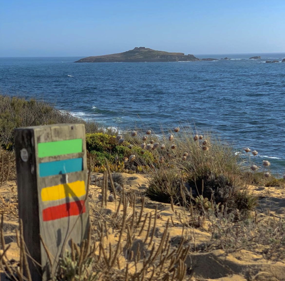 Other Trials in Porto Covo