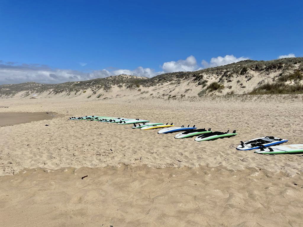 Yoga, Surf, Horse Riding, Canoeing