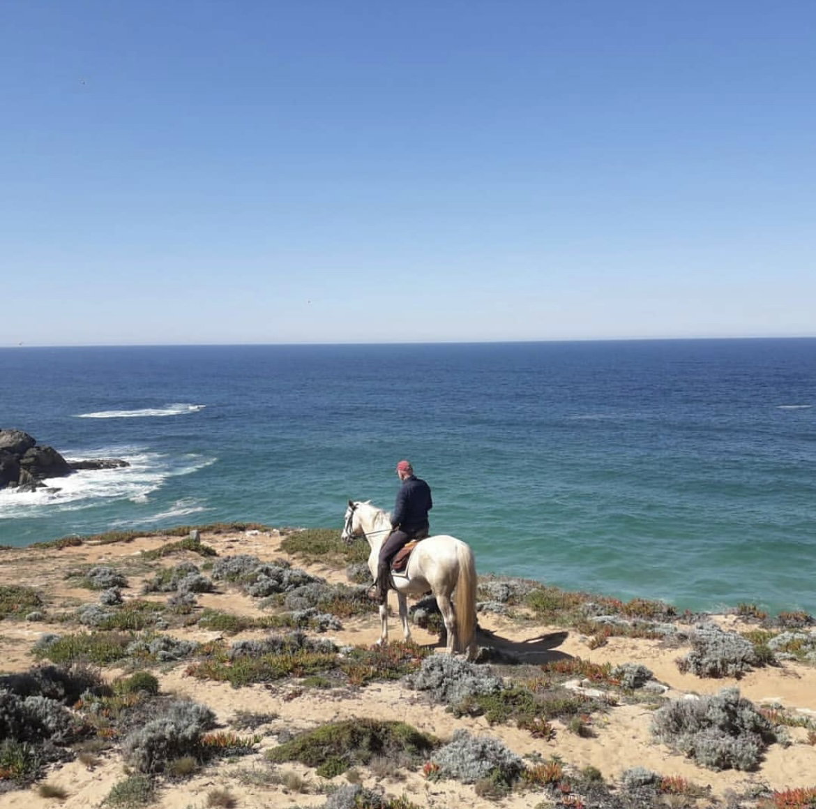 Yoga, Surf, Horse Riding, Canoeing