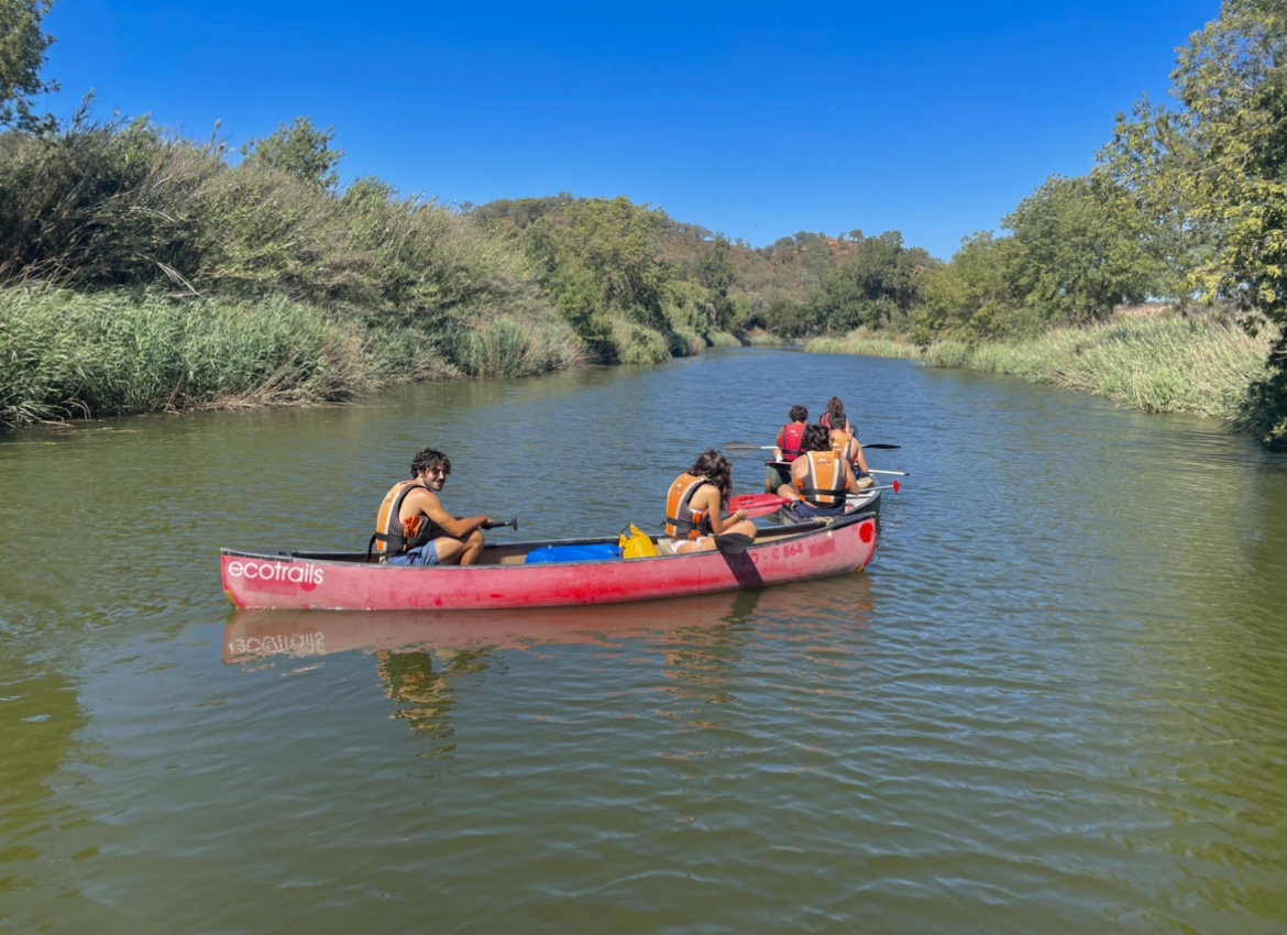 Yoga, Surf, Horse Riding, Canoeing
