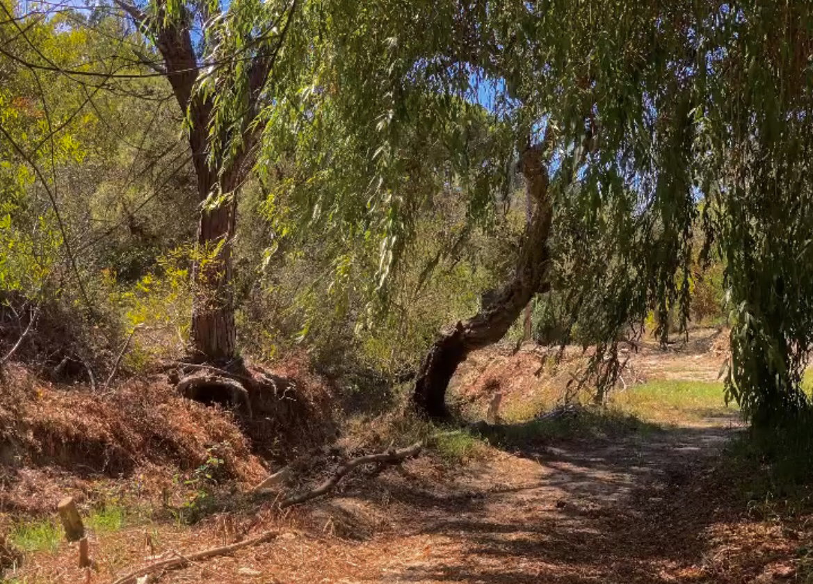 Private Hike Trail