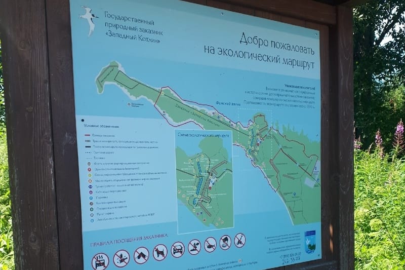 Экотропа «Западный Котлин»