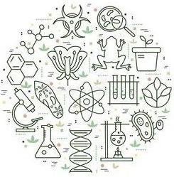 Встреча педагогического акселератора хим-био-мед кластера Санкт-Петербурга