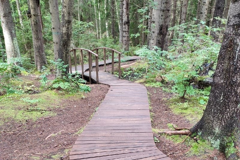 Экотропа «Комаровский берег»