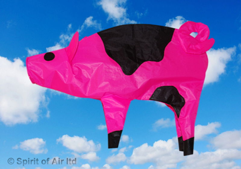 Funky Pink Flying Pig | Windsock | 24 Inches