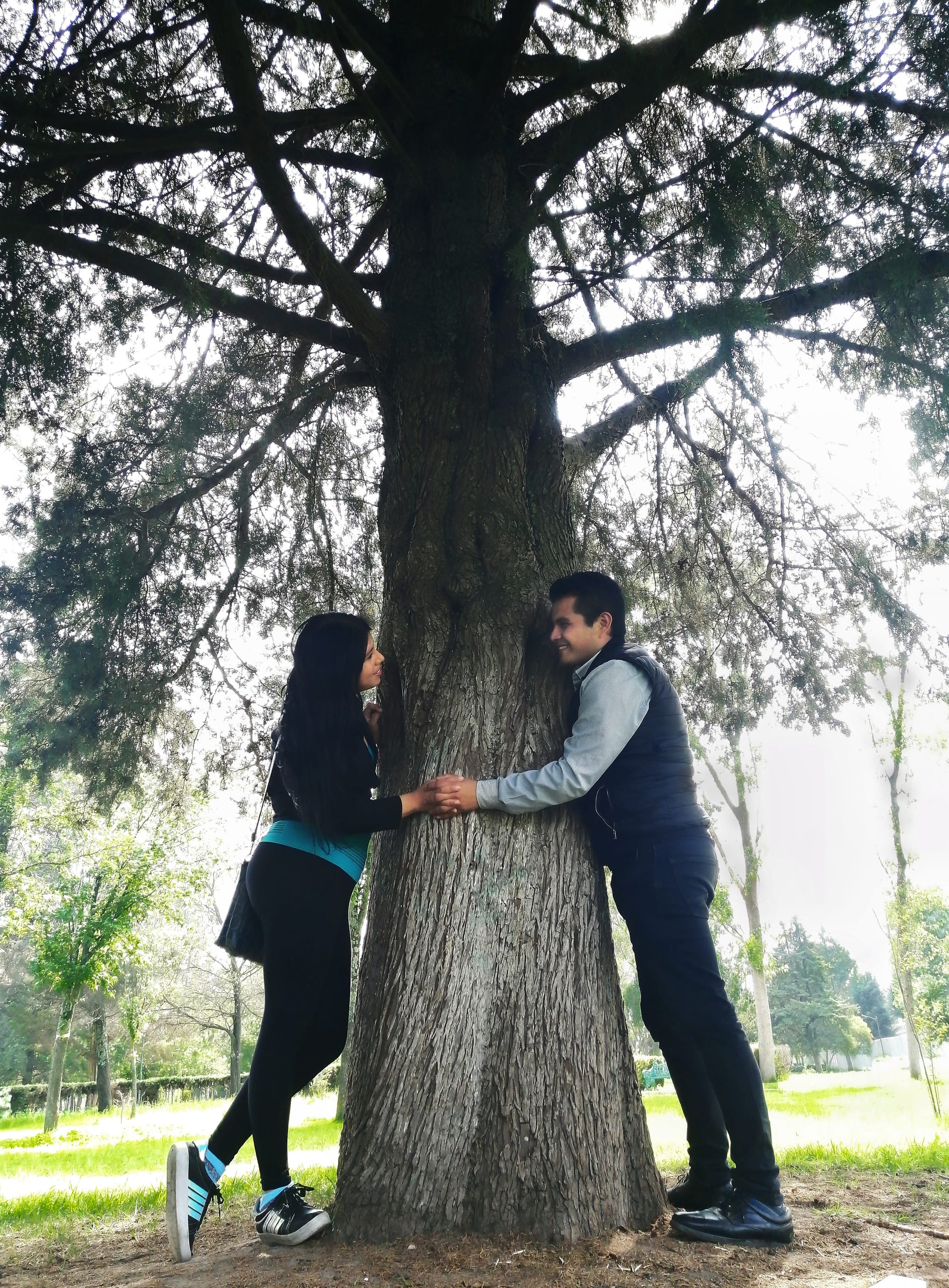 BODAS