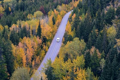 Cheapest Time to Book SAS Russia Flights image