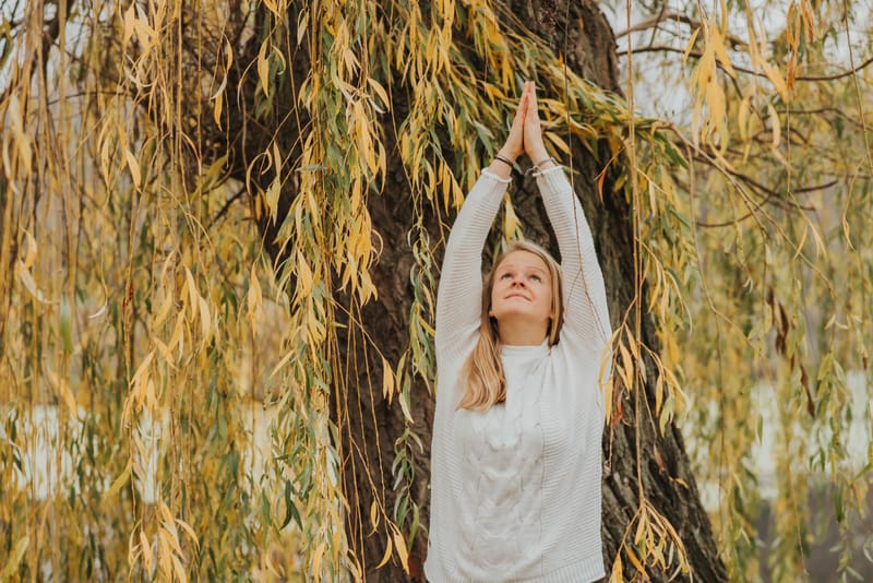 Yoga mit Claudi image