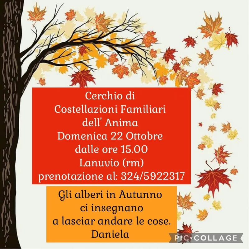 Psico Costellazioni di Gruppo