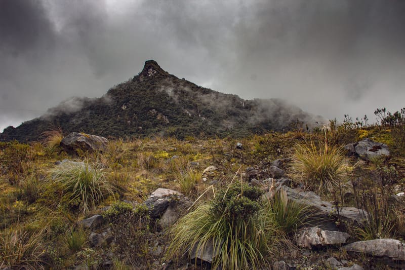 Paisajes