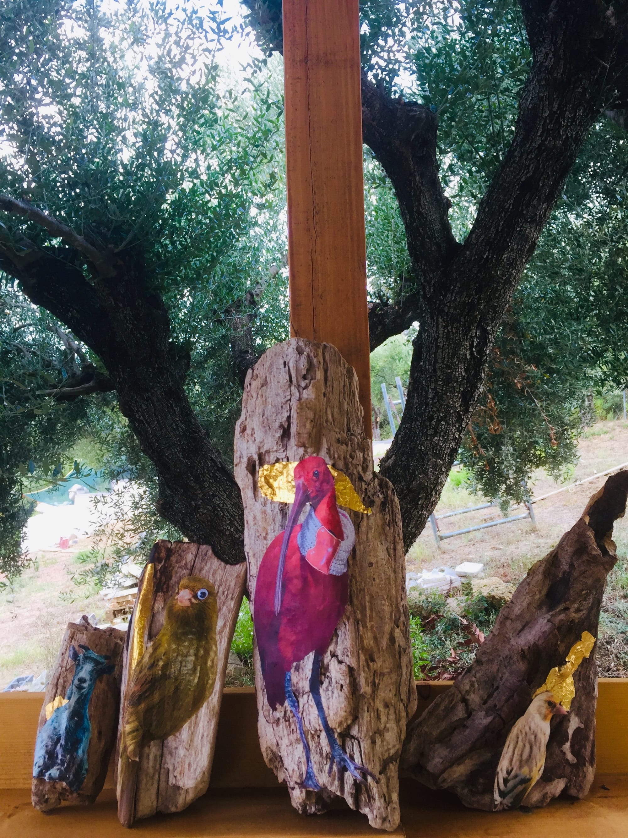 Kalamata, Greece